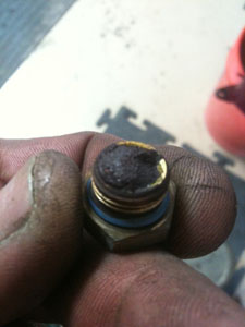 Rust 1