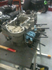 Sporter Reassembly