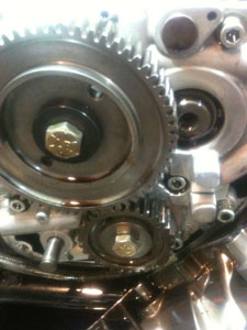 Timing Gear Install