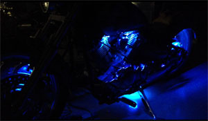 LEDs