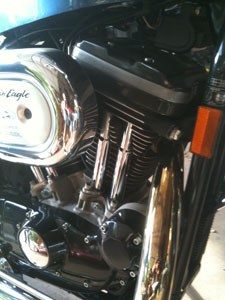 91 Sporty